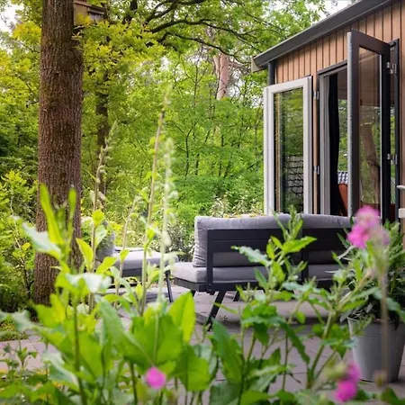 Luxe Boshuisje Goudvink, Midden Op De Veluwe Nunspeet