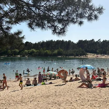 Luxe Boshuisje Goudvink, Midden Op De Veluwe