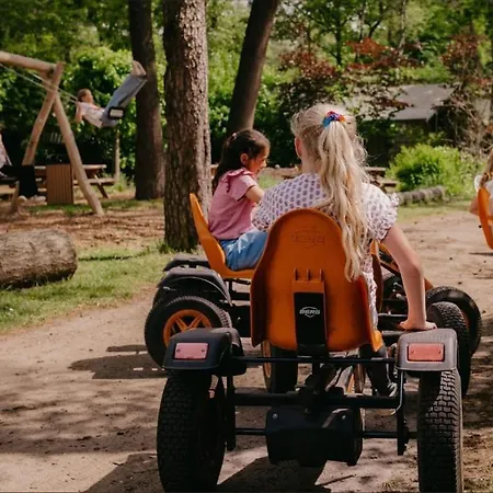 Luxe Boshuisje Goudvink, Midden Op De Veluwe Vakantiehuis