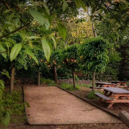 Vakantiehuis Luxe Boshuisje Goudvink, Midden Op De Veluwe Nunspeet
