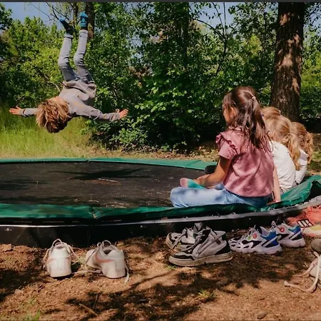 Luxe Boshuisje Goudvink, Midden Op De Veluwe Vakantiehuis