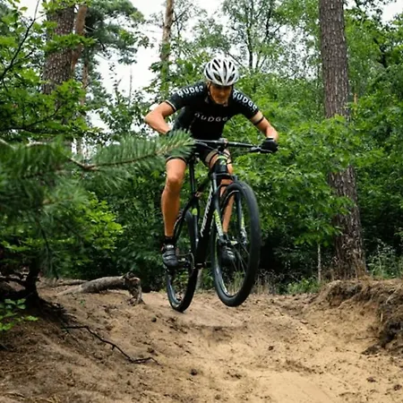 Vakantiehuis Luxe Boshuisje Goudvink, Midden Op De Veluwe Nunspeet