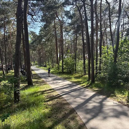Luxe Boshuisje Goudvink, Midden Op De Veluwe