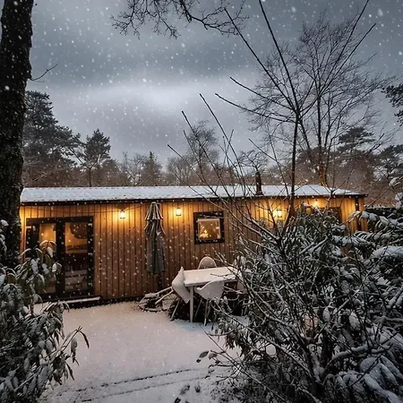 Vakantiehuis Luxe Boshuisje Goudvink, Midden Op De Veluwe